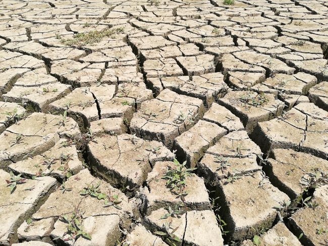 Блогер показал, что осталось от Симферопольского водохранилища: Лужица 03