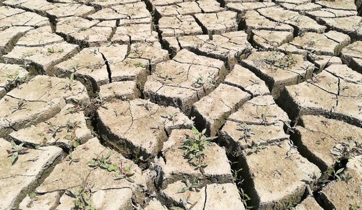 Росія заявила, що буритиме свердловини в Азовському морі для водопостачання окупованого Криму