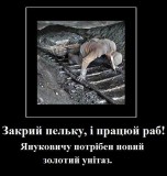Политика ПР