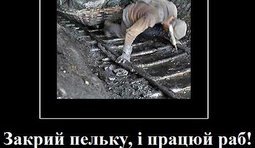 Политика ПР