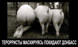 Мастера маскировки