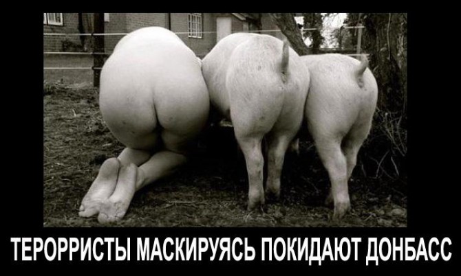 Цензор.НЕТ Изображение