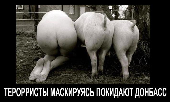 Мастера маскировки