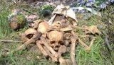 В Донецке "выселяют" мертвых. ФОТОрепортаж