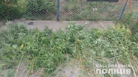 Поліцейські повідомили про підозру трьом правоохоронцям, а також затримали чотирьох чоловіків, причетних до діяльності нікопольського ОЗУ Біле братство 09