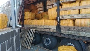 Налоговая служба обнаружила схему нелегальной поставки товаров на оккупированный Донбасс