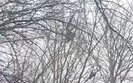результат вибуху буханки на міні