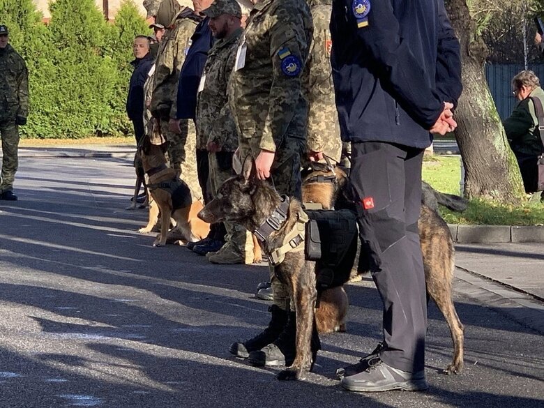 Ukraine received second group of sapper dogs from the European Union 02