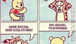Из жизни биоматериалов