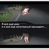 Я еще живой и легитимный!