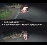 Я еще живой и легитимный!
