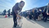 12 марта будут действовать более 10 гуманитарных коридоров для эвакуации населения. Полный список