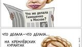 Что Тимошенко делала в Москве. Взято ЗДЕСЬ
