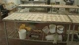 Киевлян 2 месяца кормили песком. ФОТОрепортаж