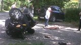 В ДТП пострадала 14-летняя дочь депутата-регионала с 15-летним сыном экс-мэра Ужгорода. ФОТО