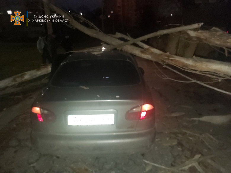 Поваленные деревья и обрывы линий электропередачи: Спасатели ликвидировали последствия непогоды в Харькове 04