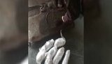 Українець намагався виїхати в Європу з наповненим бурштином паливним баком, - Держприкордонслужба. ВІДЕО+ФОТО