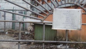 Из Лукьяновского СИЗО сбежал 19-летний заключенный Пушкин, осужденный за убийство