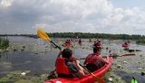 Киев объявил конкурс для создания девяти станций проката каяков