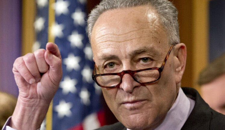 Zelenskyy canceled online briefing for US senators at last minute because ’something happened at last minute’ - Senator Schumer