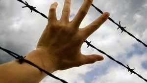 В мире насчитали более 40 миллионов рабов
