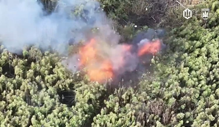 Drones of "Magyar’s Birds" unit tear invader to pieces. VIDEO