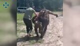 зрада,арешт