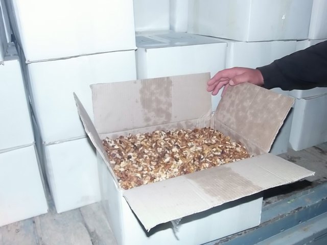 гфс