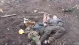 окупанти