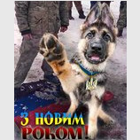 Вітання країні