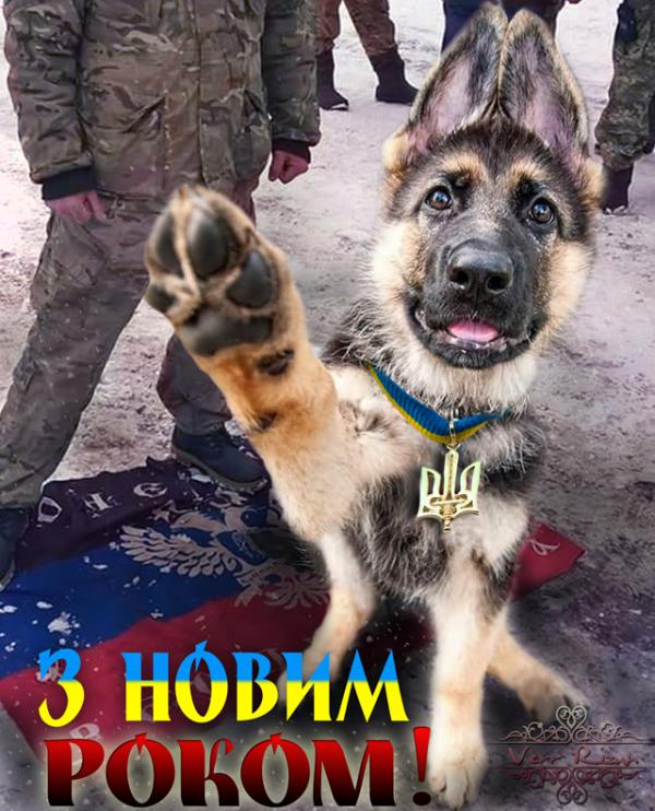 Подарунки для неслухняних хлопчиків. Новорічні фотожаби від Цензор.НЕТ 06