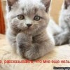 Сергей Петрович #386771