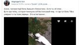 фурман