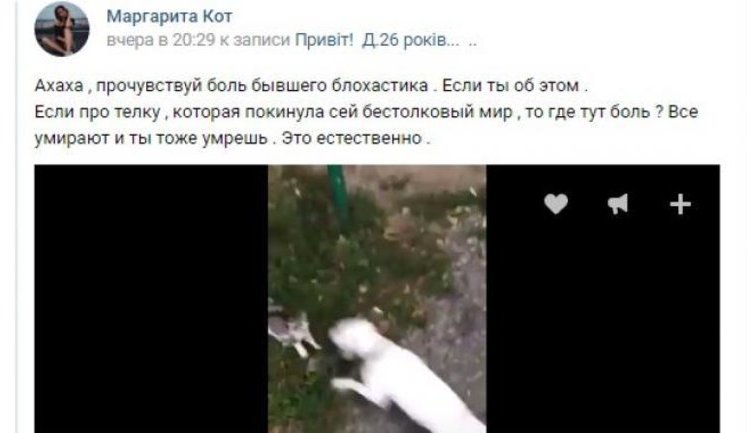 Пара из Харькова сняла на видео, как их бультерьер убивает котенка, и выложила ролик в соцсети: открыто уголовное производство, подозреваемым грозит до 3 лет тюрьмы. ФОТОрепортаж