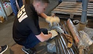 СБУ разоблачила схему закупки некачественных запчастей для "Укрзализныци" под видом "инновационной" продукции из ОРДЛО