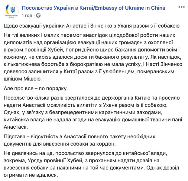 Посольство обещает оказывать помощь украинке Анастасии Зинченко, отказавшейся эвакуироваться без собаки 01