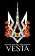 Волонтерське Об’єднання "Vesta"