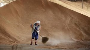 "Комора" України. Що являє собою Держрезерв