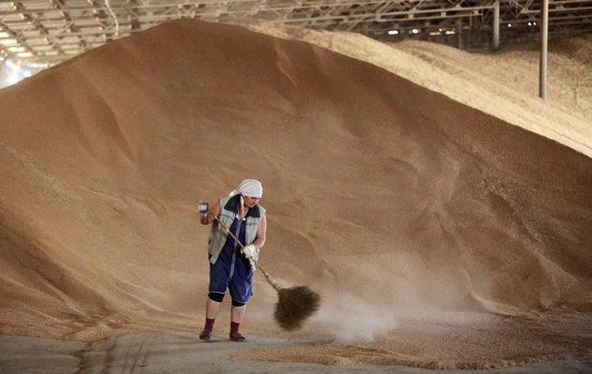 Комора України. Що являє собою Держрезерв 01 Комора України. Що являє собою Держрезерв 01