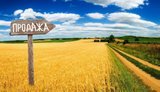 В Україні знизилася вартість сільськогосподарської землі: де найвищі та найнижчі ціни?