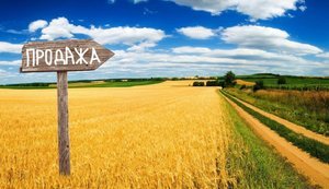 В Україні знизилася вартість сільськогосподарської землі: де найвищі та найнижчі ціни?