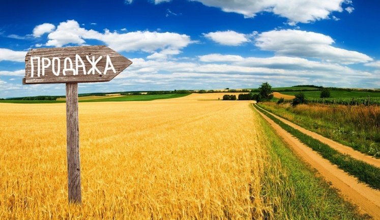 В Україні знизилася вартість сільськогосподарської землі: де найвищі та найнижчі ціни?. ІНФОГРАФІКА