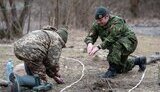 канада,навчання,польща,сапери