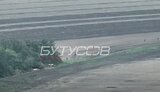 бутусов