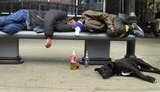 Табачник говорит, что Германия не имеет ничего против пьяного дебоша украинской делегации
