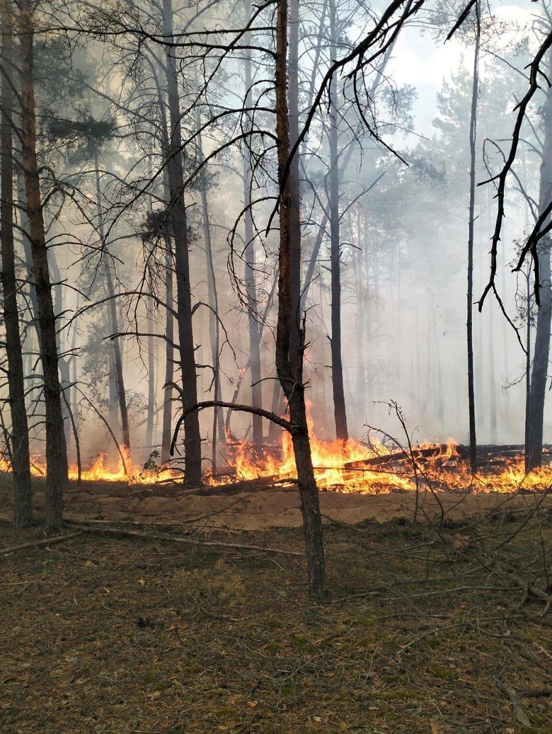 У Чорнобильській зоні зафіксували чотири осередки пожеж. Фахівці запевняють, що радіаційний фон залишається в межах норми.