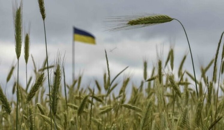 Супутники NASA зафіксували деградацію аграрного виробництва на окупованих територіях