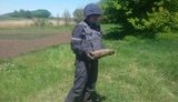 гсчс