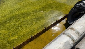 В порту Черноморск спецсуда ликвидируют разлив масла после обстрела, - АМПУ