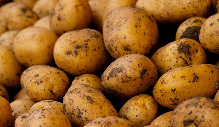 Україна збільшила імпорт картоплі у 5 разів. Звідки завозили найбільше?